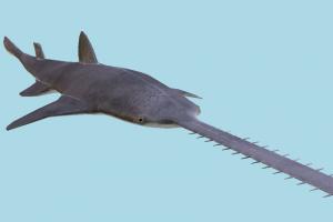 Sawshark Sawshark-2