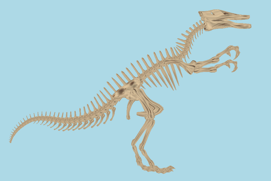 Shantungosaurus Dinosaur Skeleton 3d model