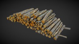 Pile of logs