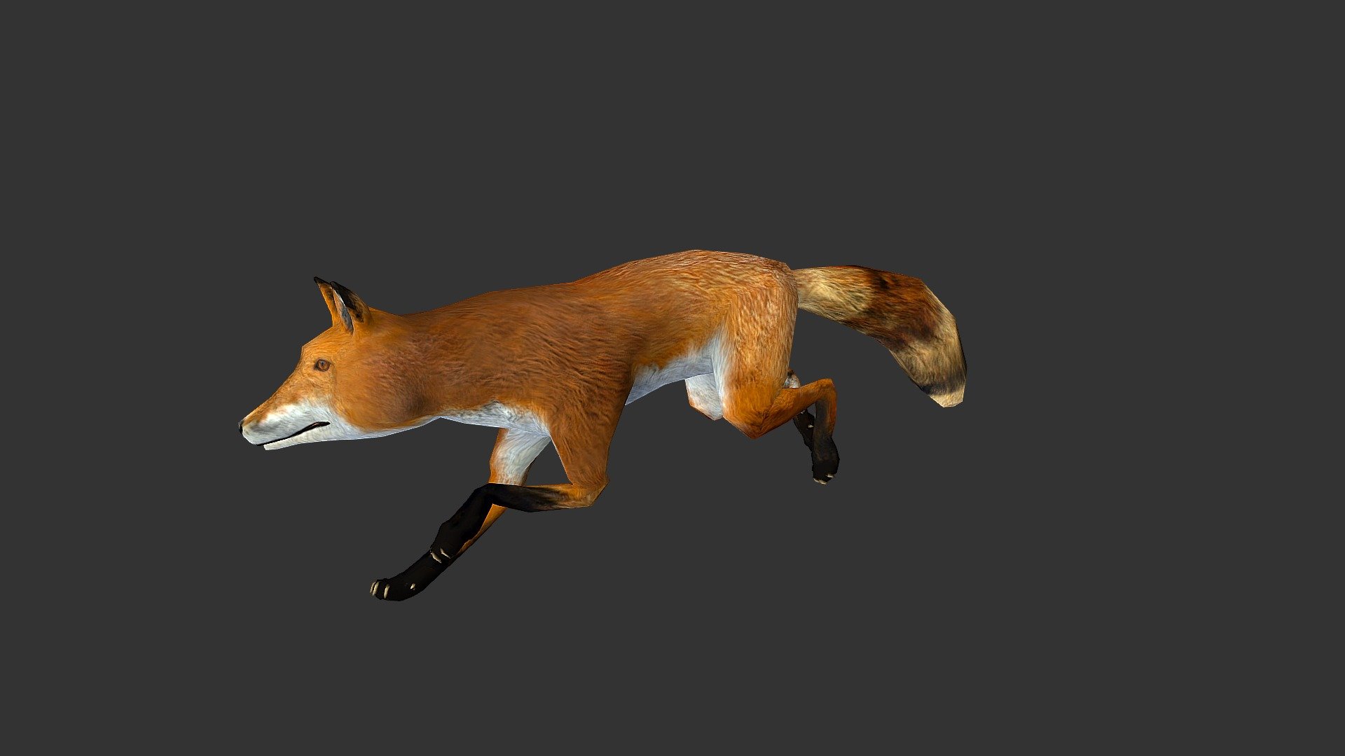 Geometry  1.2k Quads Number of quad faces  252 Triangles Number of triangle faces  2.7k converted to Triangles Number of faces  Vertices  1.4k Number of vertices  ---------  Animation inclue: walk, run, jump, eating, rest, sleep etc&hellip;  ---------  Texture: PNG format, Size: 2048*2048.  Full PBR maps: Diffuse, Normal, Spec, Glossiness, Occlusion.  Include UV map layer.  --------- -link removed- - FOX - 3D model by josluat91 3d model