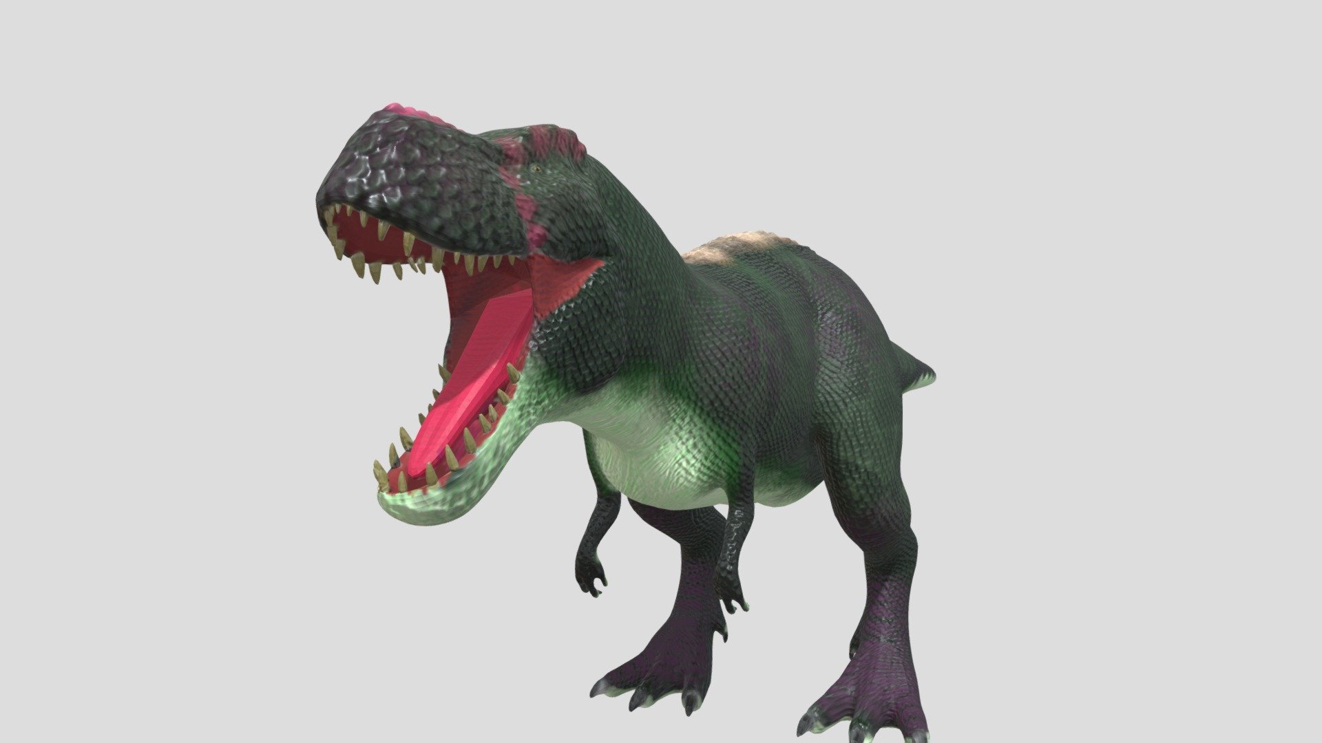 3d model of a Tyrannosaurus Rex. Perfect for games, scenes or renders.

Model is correctly divided into main parts. All main parts are presented as separate parts therefore materials of objects are easy to be modified or removed and standard parts are easy to be replaced.

TEXTURES: Models includes high textures with maps: Base Color (.png) Height (.png) Metallic (.png) Normal (.png) Roughness (.png)

FORMATS: .obj .dae .stl .blend .fbx .3ds

GENERAL: Easy editable. Model is fully textured.

Vertices:27.5k Polygons: 31.6k

All formats have been tested and work correctly.

Some files may need textures or materials adjusted or added depending on the program they are imported into 3d model
