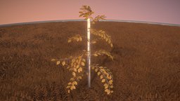 Plum Tree 2m tree, plant, small, baum, nature, game-ready, blender-3d, seasons, plum, herbst, vis-all-3d, pflaumenbaum, 3dhaupt, software-service-john-gmbh, low-poly, lowpoly, leaves