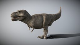 Tyrannosaurus Rex 4.2 trex, raptor, rex, park, triceratops, jurassic, cretaceous, theropod, tyrannosaurus, rexy, animated, rigged, dinosaur, dino