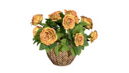 Roses plants, flower, props, bush, roses, leafs, potty, asset, pbr, gameready, buquet, pottedroses