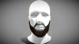 Black Short Beard face, hair, style, barber, rocker, survivor, head, facial, bearded, hairy, homeless, haircut, hairstyle, bigbeard, barba, man, male, longbeard, barbado, face-beard, facial-hair