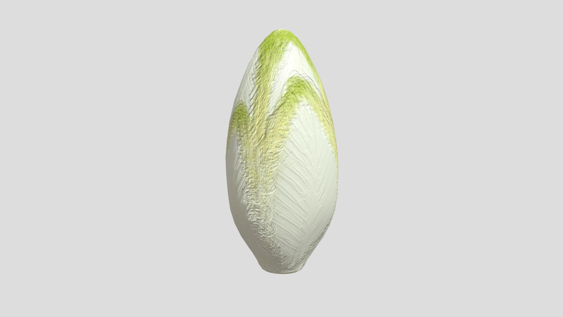 Endive - 3D model by amsiu 3d model