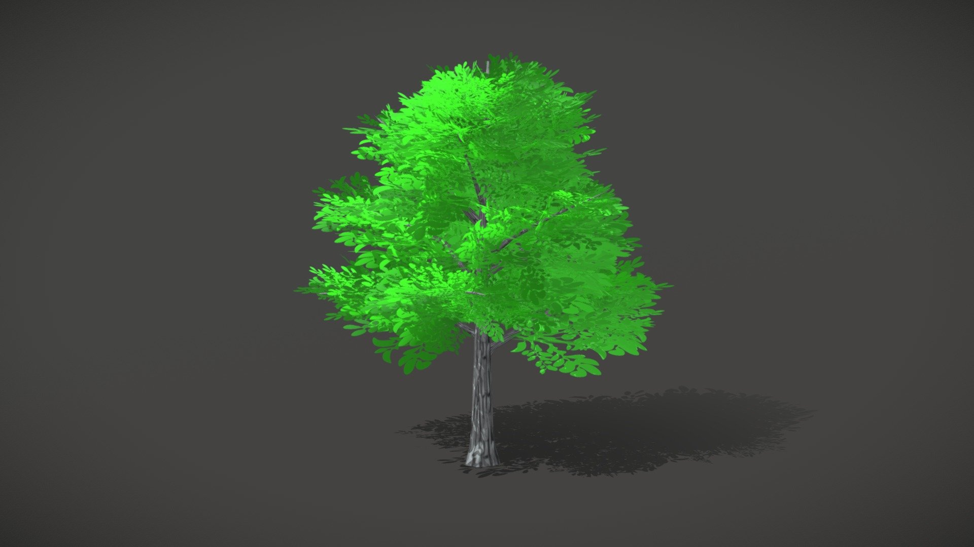 Medium sized Anime/Manga style tree about 10 meters high.

technical detail:
* format: Fbx (only)
* Meshs: 1
* triangles: 1 216
* vertex: 3 343
* Mateirals: 2
* textures: 2
* textures size: 1024
* opacity: yes - Anime Nature Tree 01 - Buy Royalty Free 3D model by JABAMI Production (@JabamiProduction) 3d model