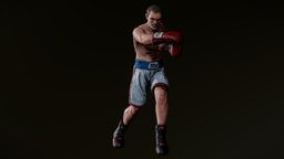 Old Boxer Posed fighting, boxer, stance