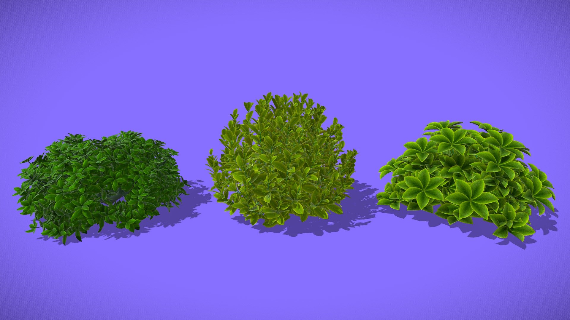 Bush - Buy Royalty Free 3D model by gohean33 3d model