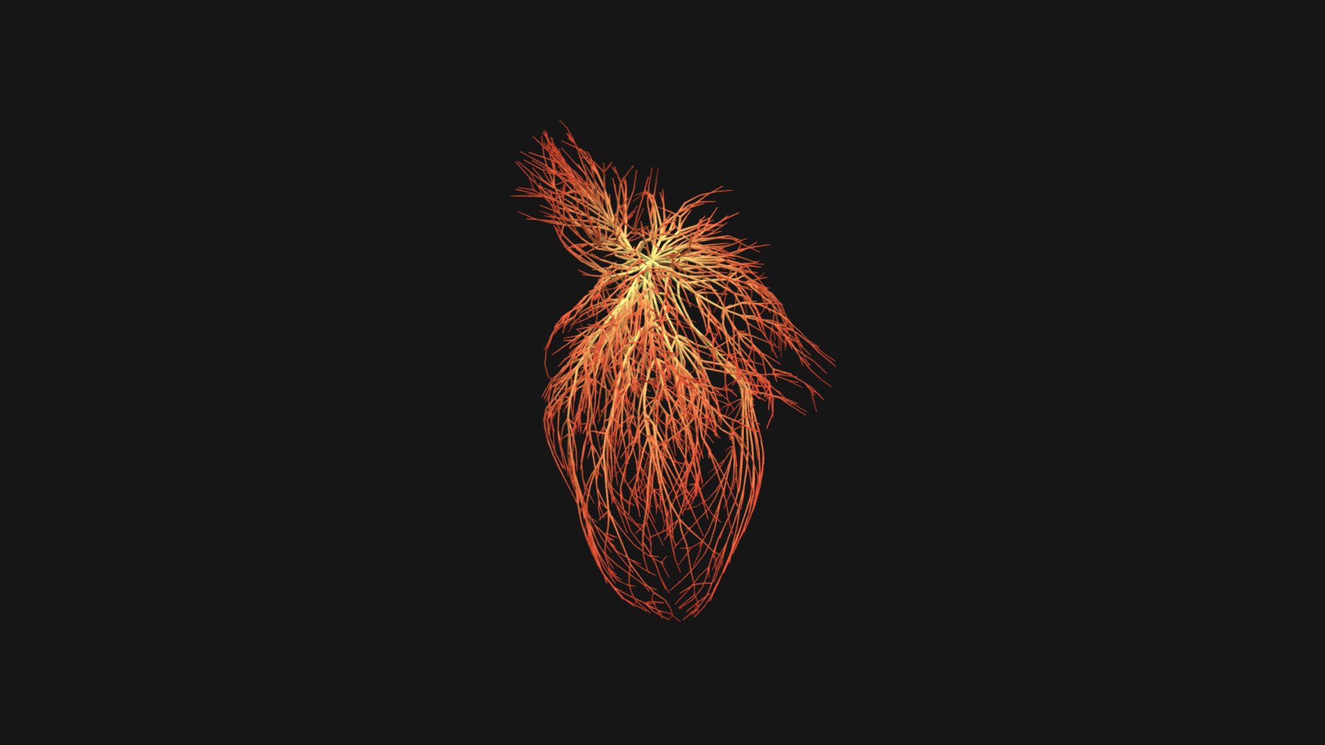 Unrolling growing animation. Heart medical Concept.
Human heart shape made out of wires. Keyframed joints stored as fbx file. Suitable for rendering.
Model has 2 uv channels and vertex colors. Package also contain sample texture gradient and animated Alembic Vertex cache.
FBX version: 2020.0.1
Alembic 1.5. Ogawa
Blender version: 3.3 - Human heart unrolling growing animation - Buy Royalty Free 3D model by zexell 3d model