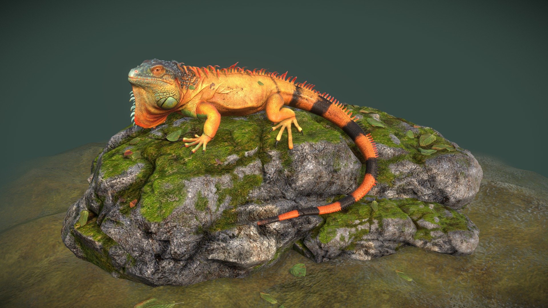 I really like lizard animals. I made him in my spare time and recorded the production process. If you like it, welcome to watch!
Link: https://www.yiihuu.com/a_8181.html - lizard - 3D model by louy 3d model