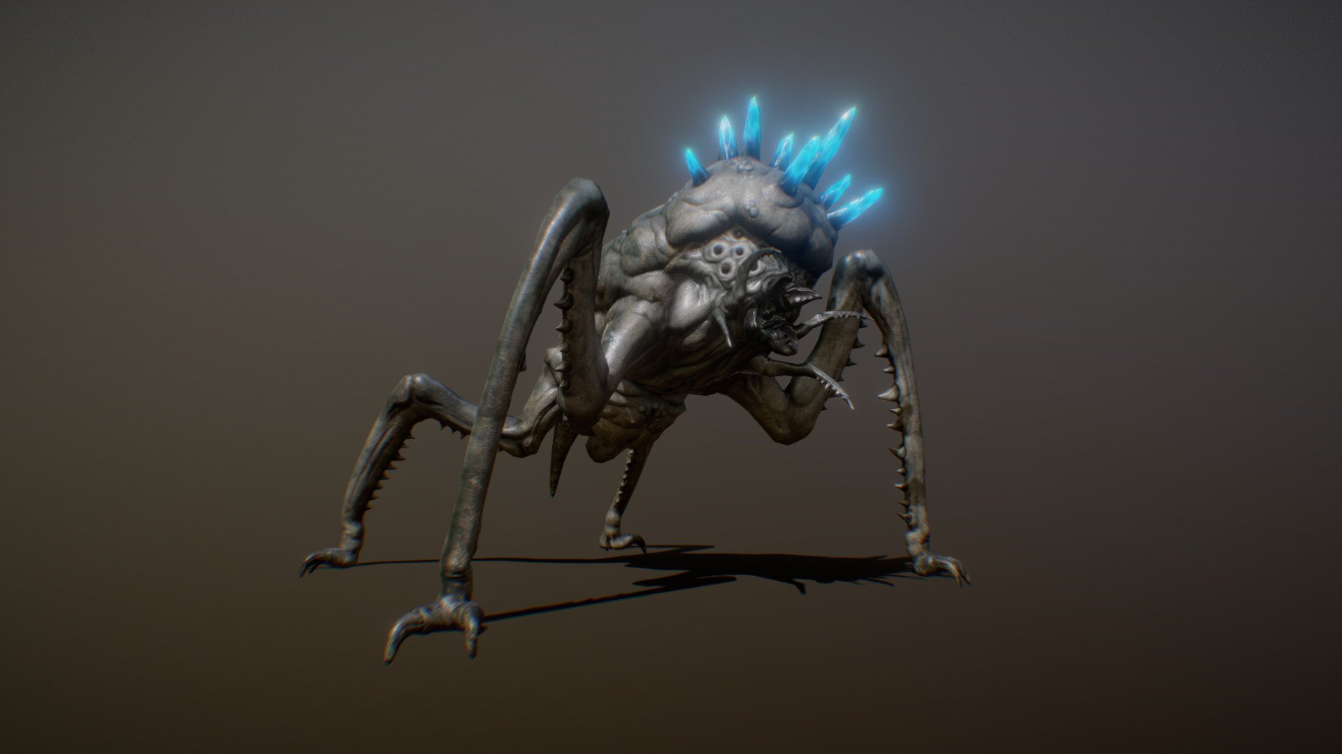 FULGURODONTE ANIMATIONS - Buy Royalty Free 3D model by PROTOFACTOR, INC. (@protofactor) 3d model