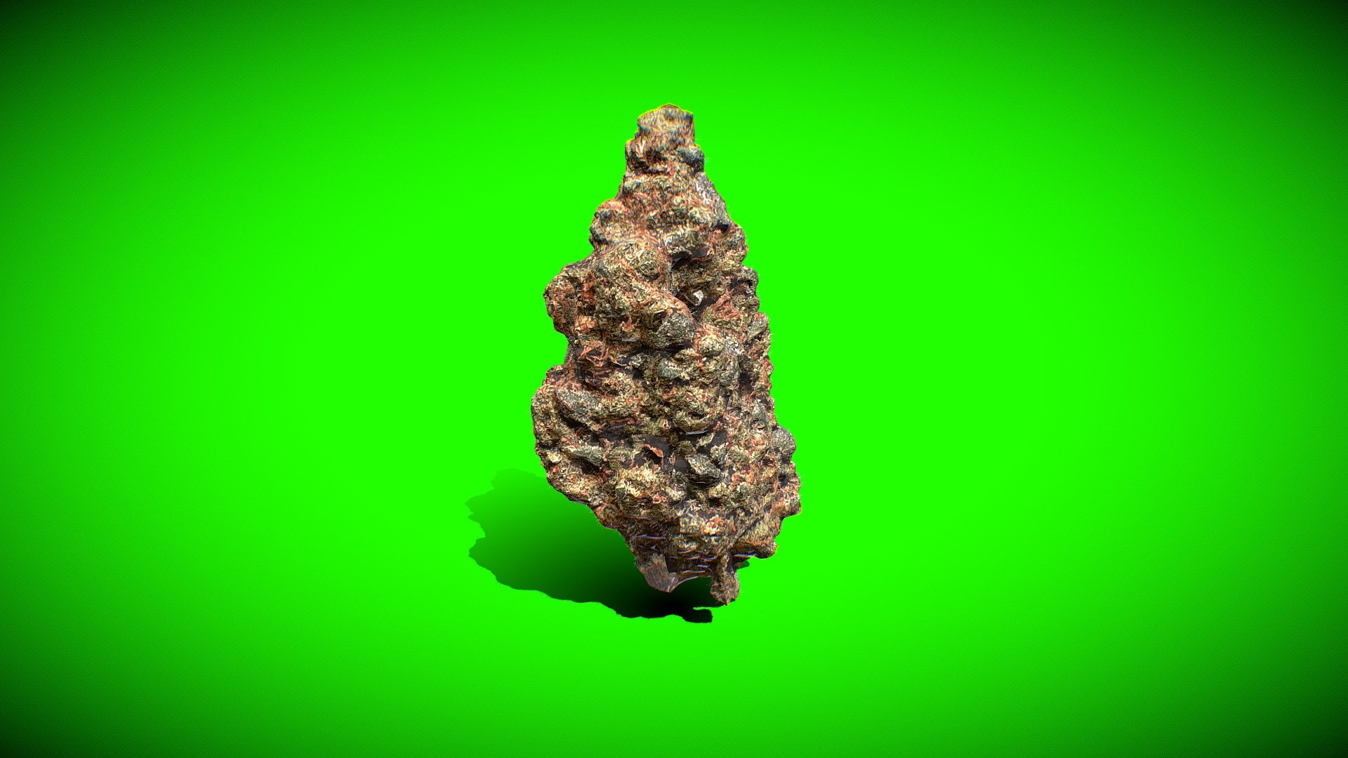 Explore the intricate beauty of cannabis with this highly detailed 3D model showcasing a weed nugget. Immerse yourself in the world of marijuana as you examine the textures, shapes, and colors of this iconic cannabis bud.

From the resinous trichomes to the vibrant green hues, this model captures the essence of a high-quality cannabis nugget. Whether you're a cannabis enthusiast, a designer incorporating natural elements into your projects, or simply curious about the intricacies of marijuana, this model offers a captivating exploration of the cannabis plant 3d model