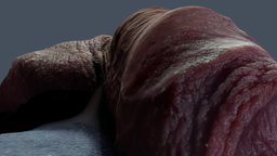 DK_A01 balls, , , cock, , genital, veins, pene, venas, genitales