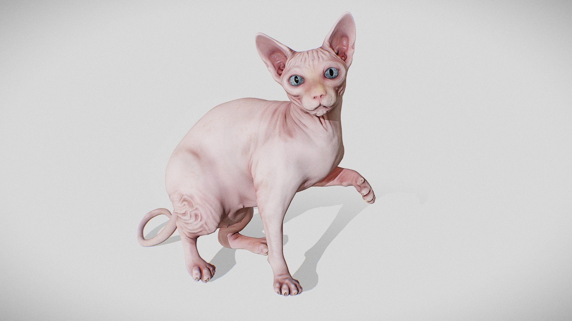 https://www.artstation.com/artwork/6aBbmr
Beauty shots - Sphynx - Buy Royalty Free 3D model by Joel Wood (@blackalder) 3d model