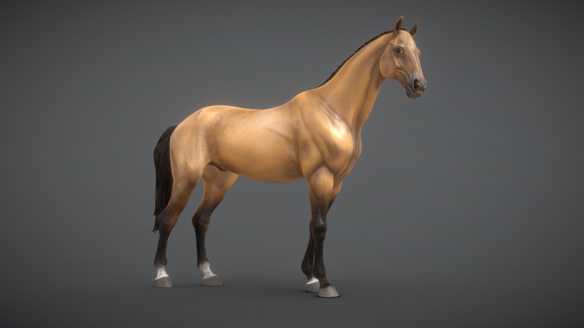 This model is dedicated for video game development, AR/VR, architectural visualisation and cinematics 3d model