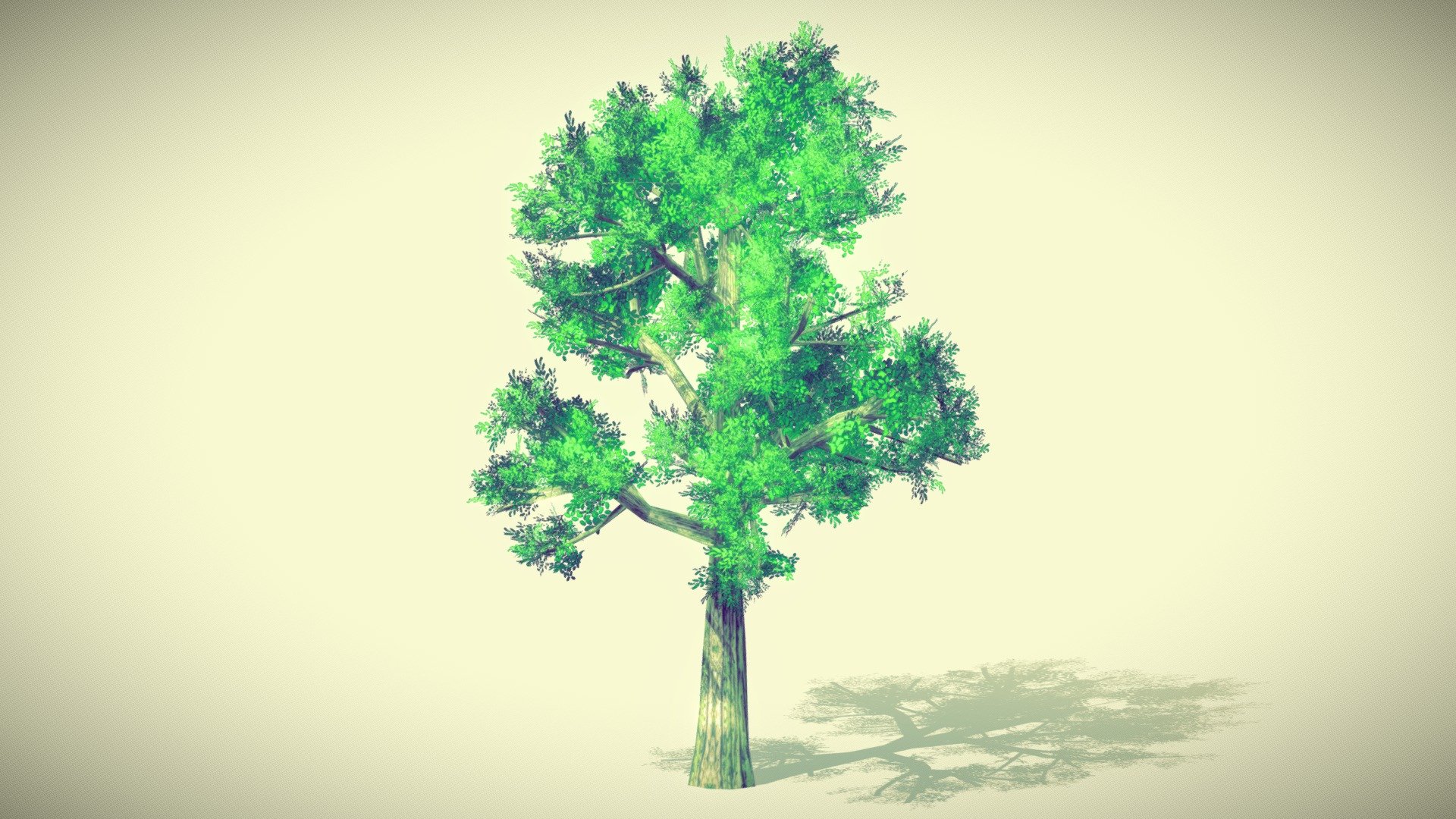 Big sized Anime/Manga style tree about 25 meters high.

technical detail:
* format: Fbx (only)
* triangles: 5 895
* vertex: 15 878
* Mateirals: 5
* textures: 5
* textures size: 512(x1) 1024(x4)
* opacity: yes
* mask: no - Jabami Anime Tree v2 - Buy Royalty Free 3D model by JABAMI Production (@JabamiProduction) 3d model