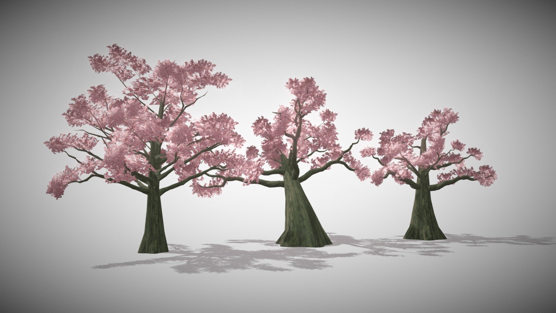 Big sized Anime/Manga style pack tree about 10 meters high.

technical detail:
* format: Fbx (only)
* triangles: 6 018 - 6 564
* vertex: 14 132 - 14 952
* Mateirals: 2
* Meshes: 3
* textures: 2
* textures size: 512 - 1024
* opacity: yes
* mask: no - Jabami Anime Sakura blossom - 3D model by JABAMI Production (@JabamiProduction) 3d model