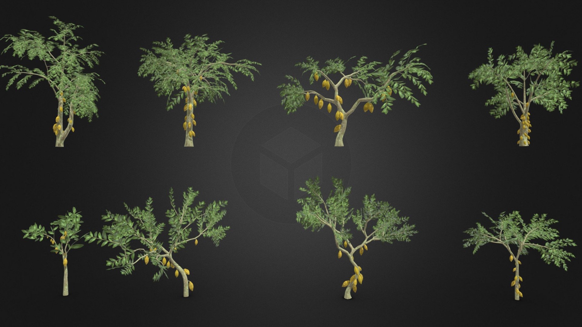 This is a 3D low poly model of a Cacao tree pack. This pack contains 4 models that you can use in your projects.

Info:

Theobroma cacao is a small evergreen tree in the family Malvaceae. Its seeds, cocoa beans, are used to make chocolate liquor, cocoa solids, cocoa butter, and chocolate. Native to the tropics of the Americas, the largest producer of cocoa beans in 2018 was Ivory Coast, at 2.2 million tons 3d model