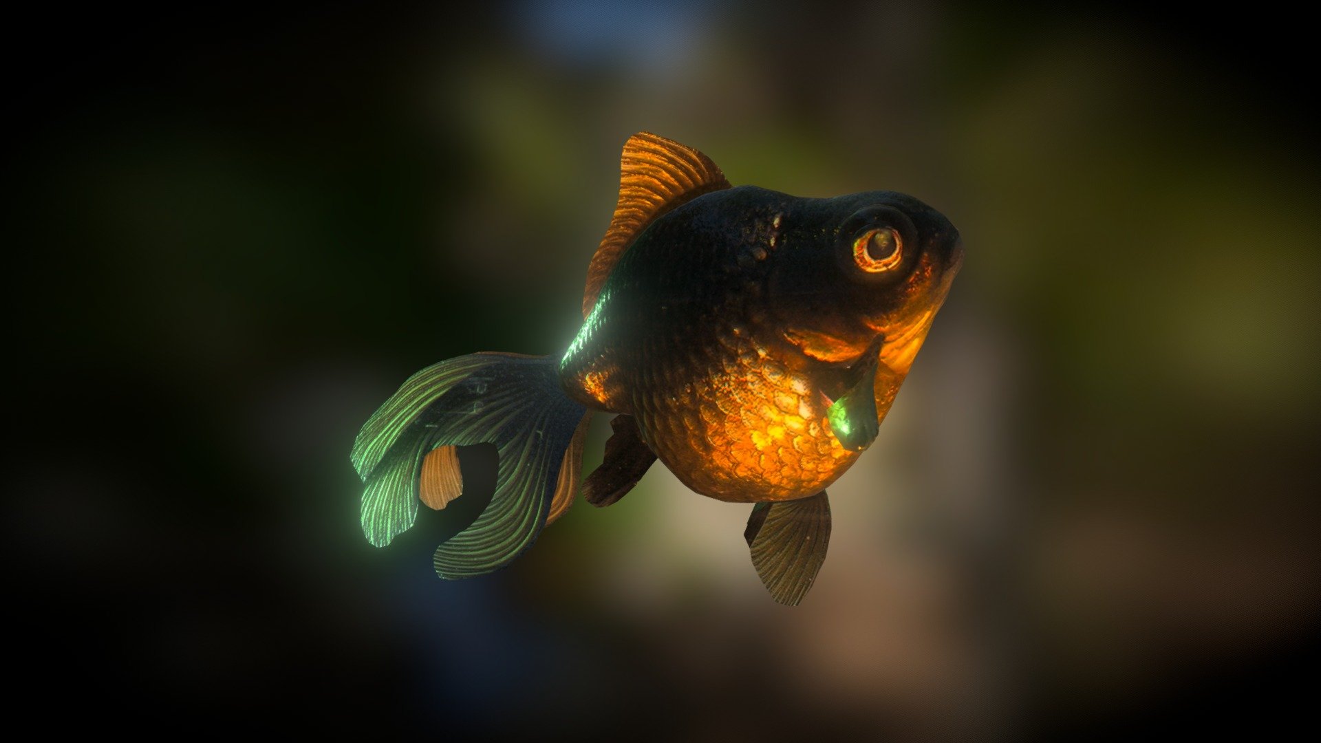 This model has been created with smoothie-3d.com which is a free online modeling tool. Making of: https://youtu.be/IX9YS5dDnTA

http://smoothie-3d.com/?p=nebulousflynn@5

Created from a single photo (https://upload.wikimedia.org/wikipedia/commons/0/0a/Black_Moor_Goldfish.jpg
) with all texture and lighting stuff done with Sketchfab's tools!

More about this animal on Wikipedia: http://en.wikipedia.org/wiki/Black_Moor_%28fish%29 - Black Moor Goldfish (Smoothie-3D upload) - Buy Royalty Free 3D model by Thomas Flynn (@nebulousflynn) 3d model