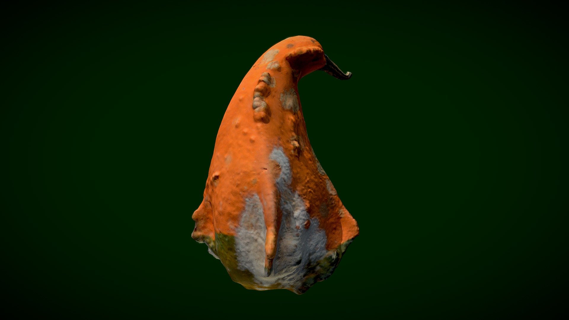 Διακοσμητική κολοκύθα! A special textured and colored decorative pumkin! - Decorative Pumkin - Download Free 3D model by Dim4 3d model
