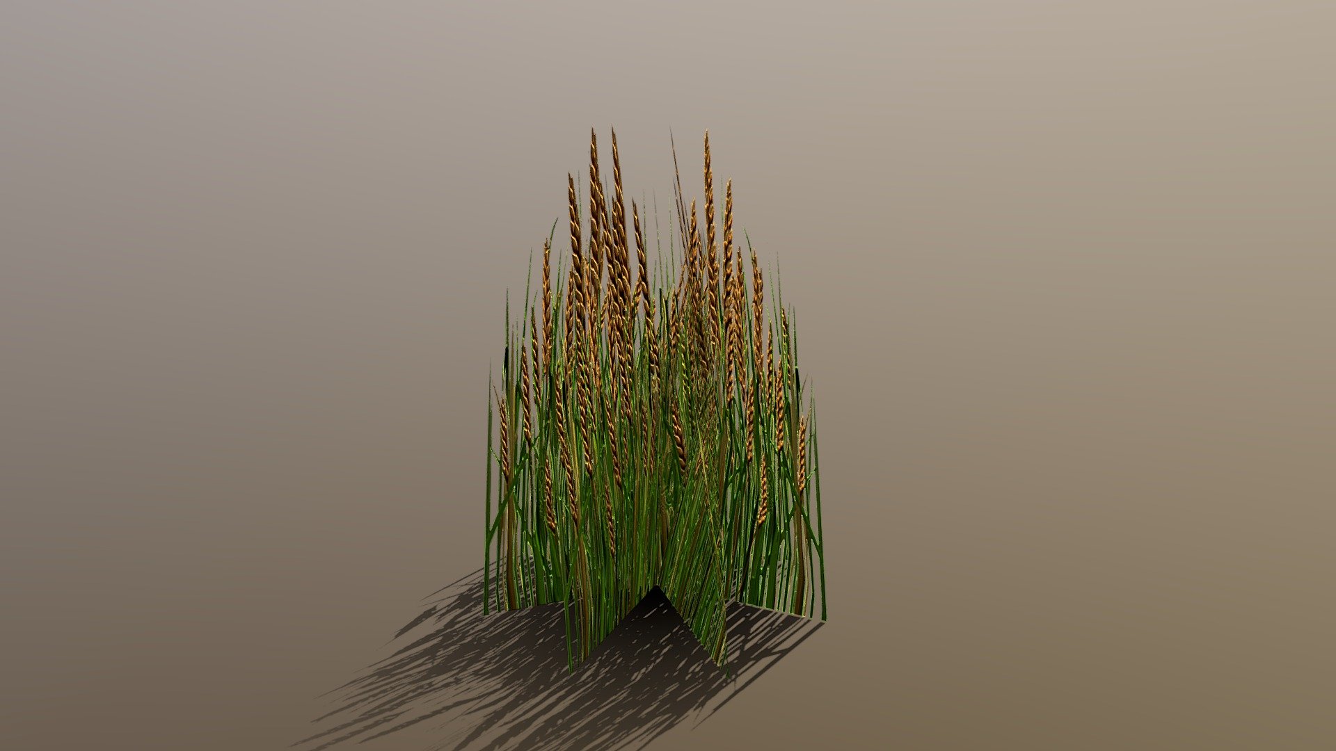 1024 texture, color and normalmap - Wheat - Buy Royalty Free 3D model by Thunder (@thunderpwn) 3d model