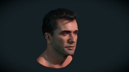 Mel Gibson face, gibson, actor, mel, famous, 3d, zbrush, digital, sketchfab