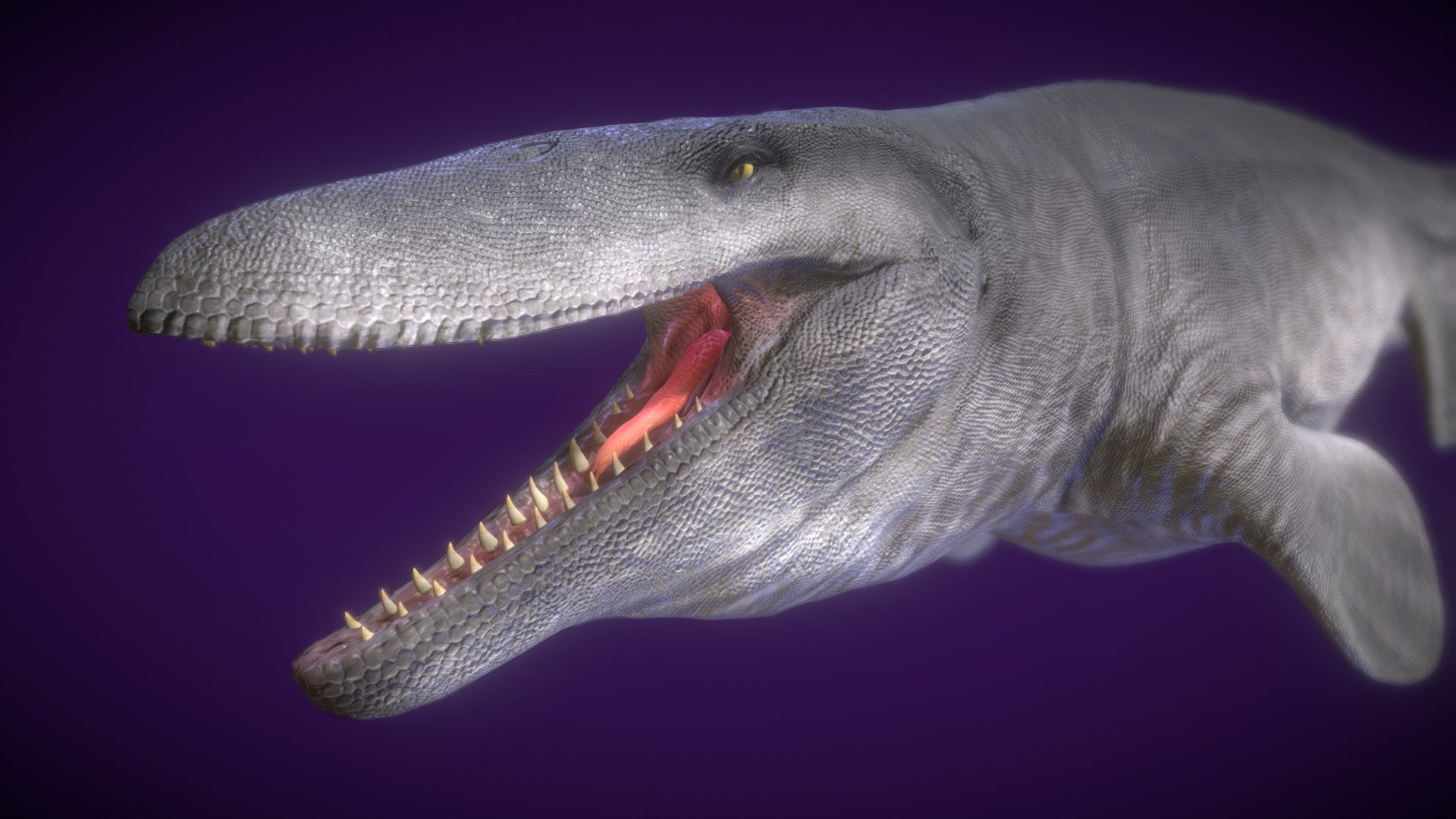 Tylosaurus, a massive marine reptile from the Late Cretaceous, glides through the ancient seas with serpentine grace. Part of the mosasaur family, Tylosaurus was an apex predator, ruling the oceans with its powerful jaws and streamlined body.

With a length that could reach up to 50 feet or more, Tylosaurus was one of the largest marine reptiles of its time. Fossilized remains suggest it had sharp teeth, indicating a diet of fish and possibly other marine creatures. Tylosaurus was a dominant force in the prehistoric seas, showcasing the incredible diversity of marine life during the Late Cretaceous.

Plunge into the depths of the Late Cretaceous seas with Tylosaurus, a majestic marine reptile that held a key position in ancient marine ecosystems. Explore the mysteries of this mosasaur with 3d model