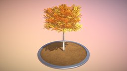 Linde 4 Meter Herbst trees, grass, linde, blender-3d
