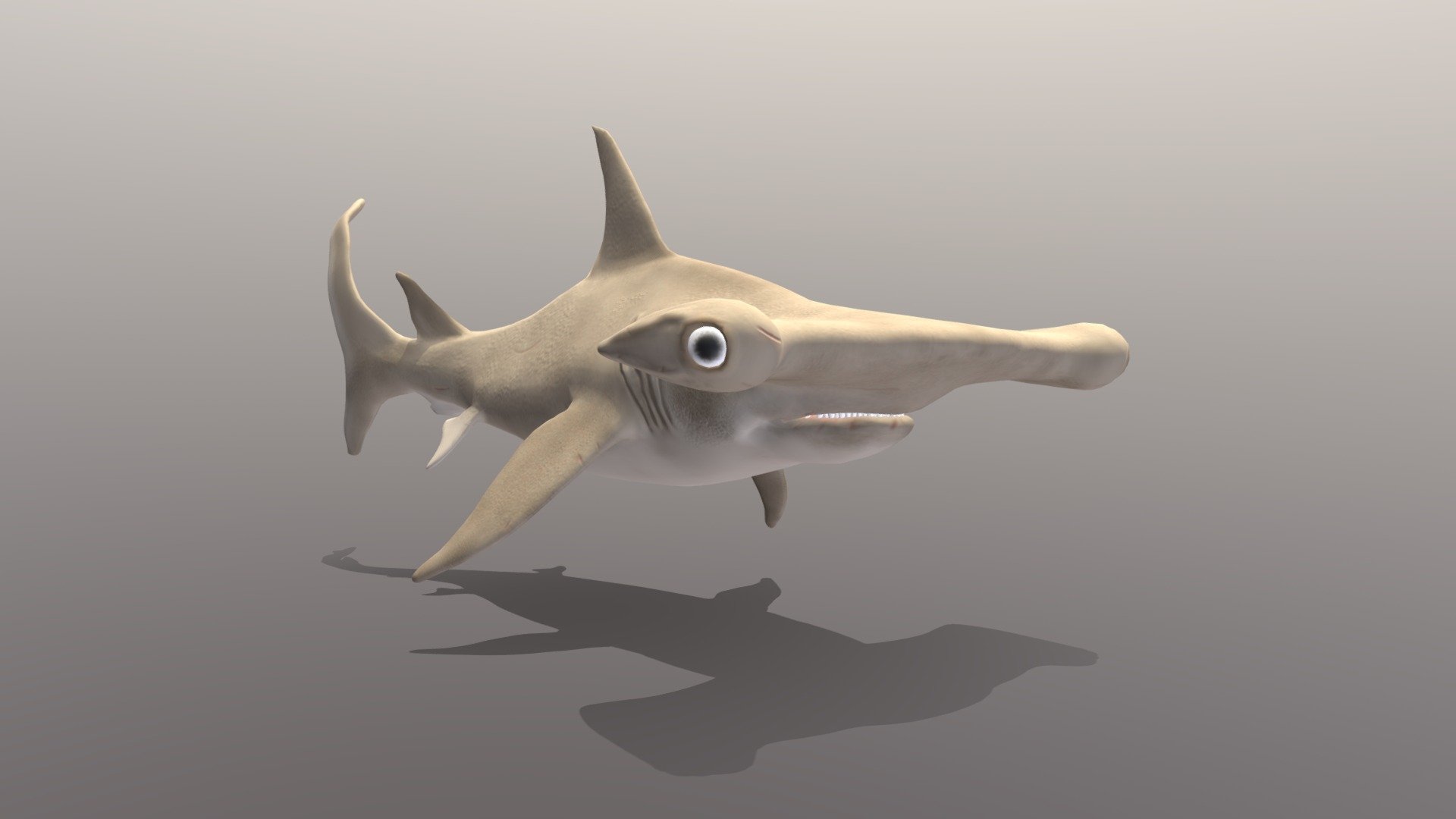 Edited with Zbrush 4R7 and 3ds max 2015

Features

-Model is completly unwrapped -Layered scene (RIgg, mesh, lights, BG, controls) -Lowpoly model -Rigged with Skin modifier and CAT -Optimal Vray settings -Morpher expresions -Real world scale (3,2m) -Named parts

Package

-Textures 4096x4096 ressolution (tiff format) -Diffuse, and NM -Models - FBX, OBJ and 3Ds -Scenes - 3ds max 2015, 2012

Preview images has rendered with MT, 3ds max include Vray settings and lights Scene include swim animation whitch is also exported to fbx for importing to another softwares or game engine

u can make some custom facial expression combine as u can see on preview video

I hope u like it! For more models just click on my name and browse library.

Tested in 3ds max - hammerhead shark - Buy Royalty Free 3D model by 3DAnvil 3d model