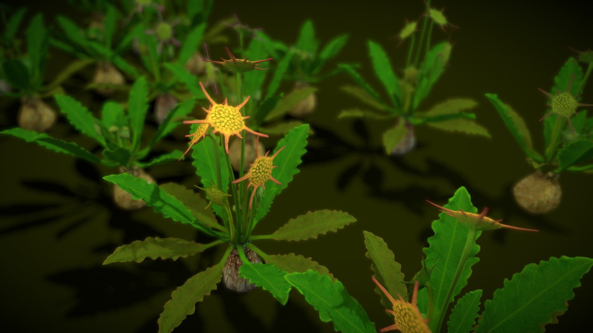 HIGH QUALITY Flower optimized for Unity game engine!
Mobile Optimize Scene This is model 3D FLOWER DORSTENIA HORWOODII in the Big Pack (Cartoon Flower Colections ) with over 5 types color!
All objects are ready to use in your visualizations.
-1024x1024, texture maps
-Poly Count : Average 38419 polys /66678 tris - FLOWER DORSTENIA HORWOODII - Buy Royalty Free 3D model by vustudios 3d model