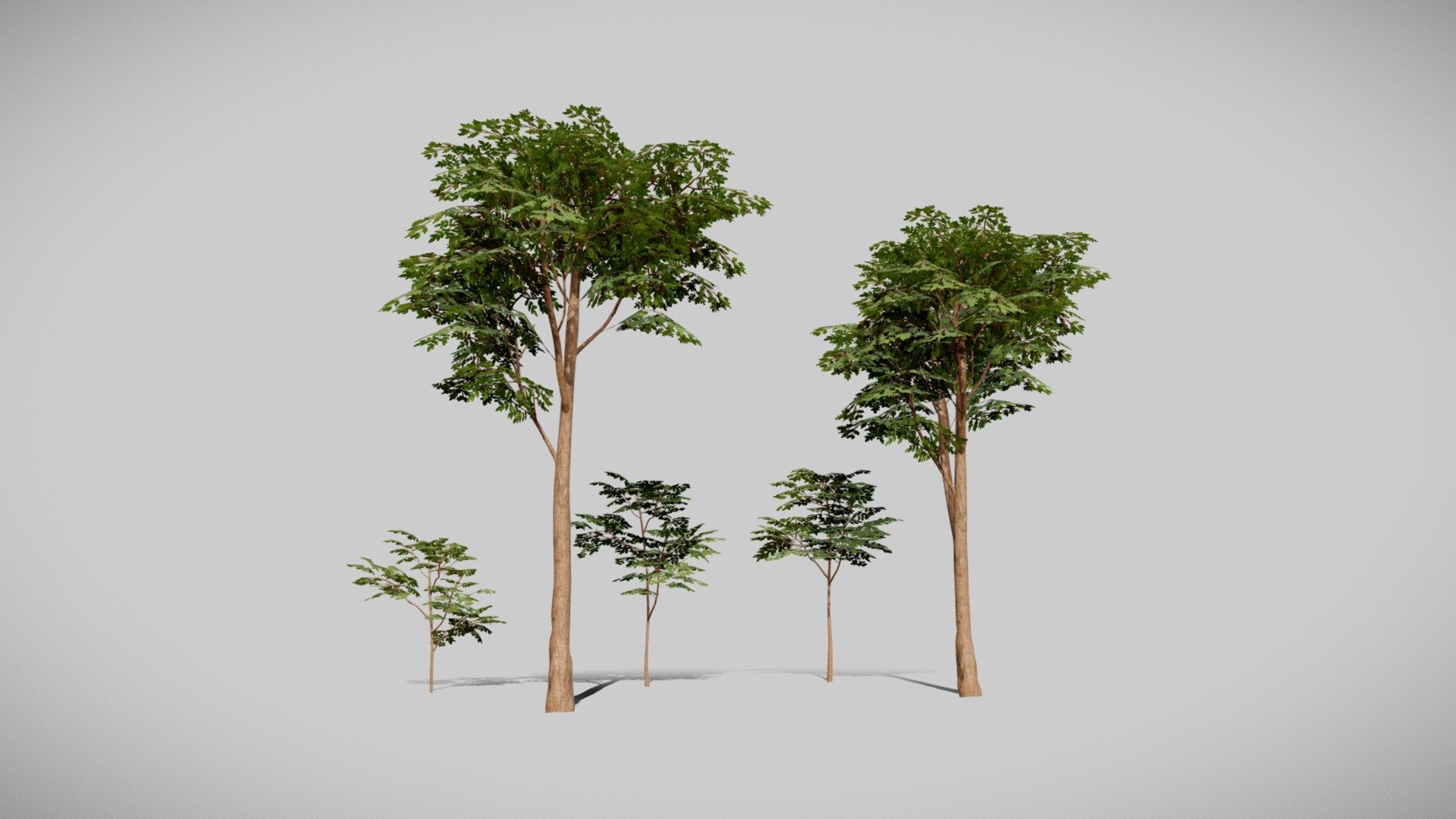 Details:

Low poly

5 Variations

Game Ready Asset

LODs + Billboards

Textures are 4K resolution (Albedo .tif with alpha channel)

Mask Map channels:

R: Metallic

G: AO

B: Thickness

A: Glossiness

Materials

-Bark

-Leaves

-Billboard

Video Tutorial Importing into Unity:
https://www.youtube.com/watch?v=wWX14sCytZ0&amp;feature=emb_logo - Tall Trees - Buy Royalty Free 3D model by Paul (@nathan.d1563) 3d model