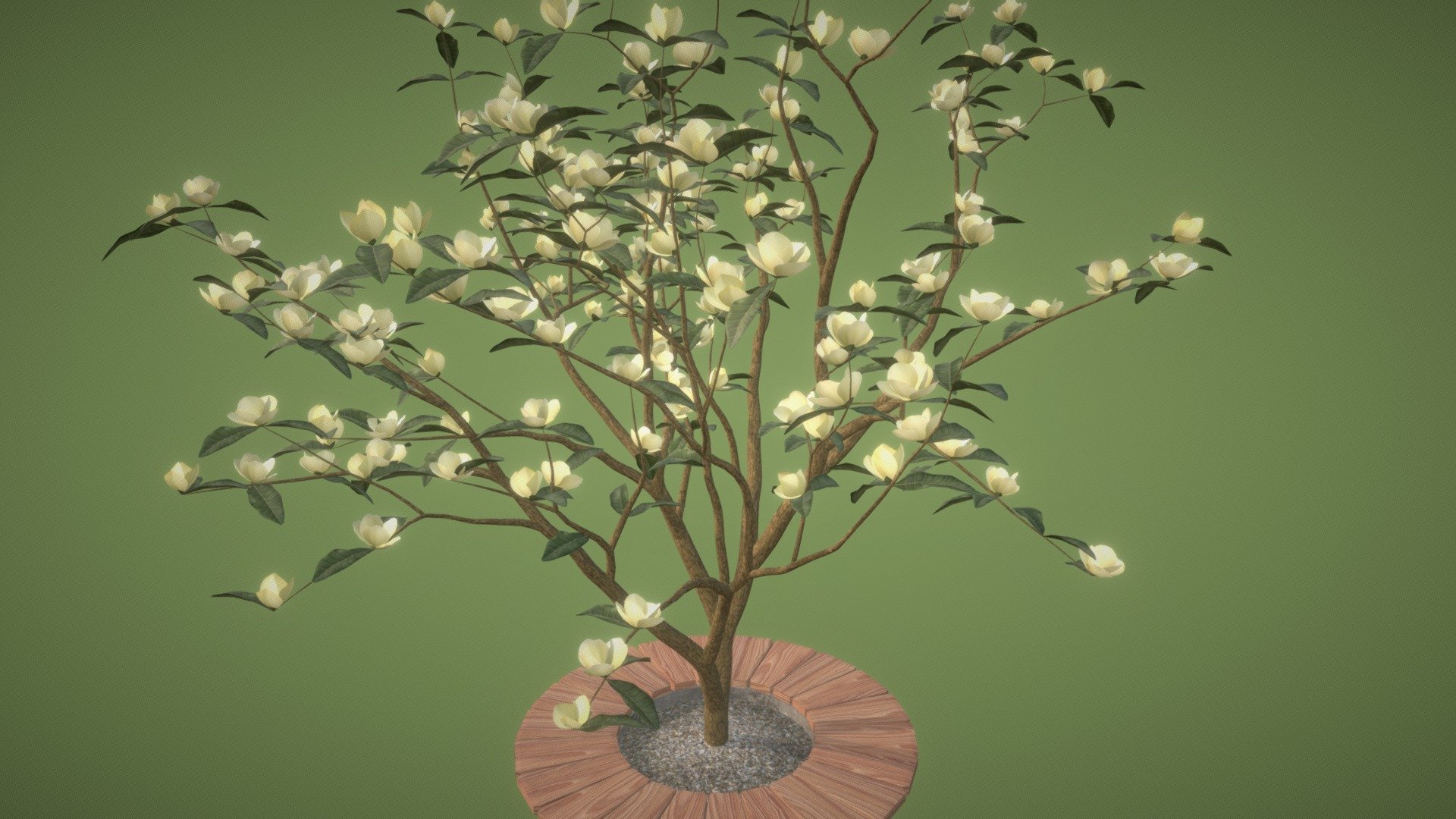 Detailed model of a flowering tree - yellow magnolia.
Cute yellow magnolia fits perfectly into the urban landscape, park or garden. Flowering tree will be a bright and original decoration for any spring holiday. And add blossoming atmosphere to your project, game or metaverse-world)

If you want more flowering trees - look at my models ^.^


Model info



consists of 22k faces / 39k triangles

uses detailed textures 1024*1024px

scaled in real world dimensions

ready to use in blend and fbx format

Model built with Blender. Origin Blender file attached.

If you have questions about asset - mail me tochechkavhoda@gmail.com - Magnolia Yellow - Buy Royalty Free 3D model by tochechka 3d model