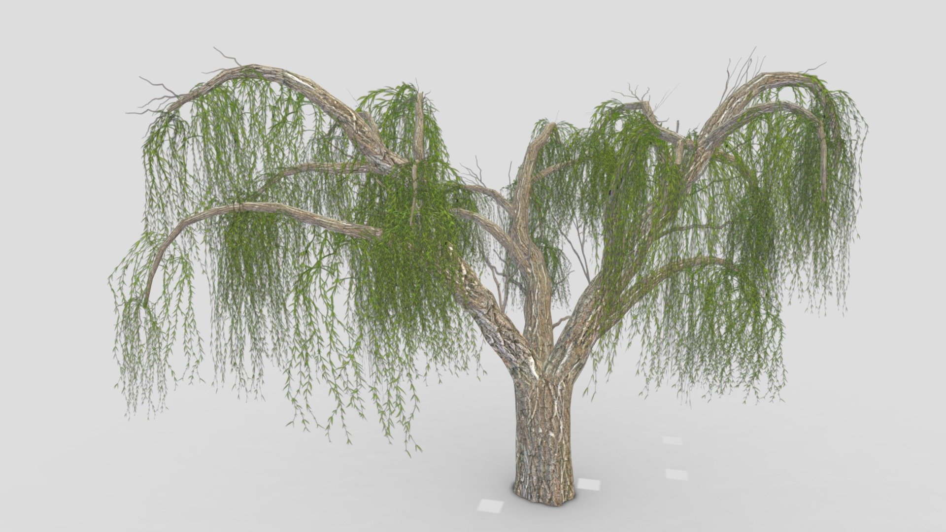 I try to provide low poly model of Weeping Willow tree to use for your game project. I hope this model will be useful for you 3d model