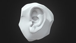 Ear Sculpt drawing, ear, human, practice