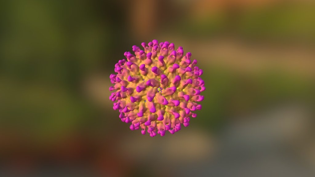 EMDB › EMD-9574

Single particle reconstruction 

12.0Å resolution

Cryo-EM structure of zika virus complexed with Fab C10 at pH 5.0

Map released: 2016-11-30

Overview of EMD-9574

Source organism: Zika virus [64320]

Fitted atomic model: 5h32

Related EM entry by publication: EMD-9573, EMD-9575

Primary publication:

Neutralization mechanism of a highly potent antibody against Zika virus

Zhang S, Kostyuchenko VA, Ng T-S, Lim X-N, Ooi JSG, Lambert S, Tan TY, Widman DG, Shi J, Baric RS, Lok S-M

Nat Commun - (2016) - EMDB › EMD-9574 - 3D model by Interactive 3D Data (@proteinsimulation) 3d model