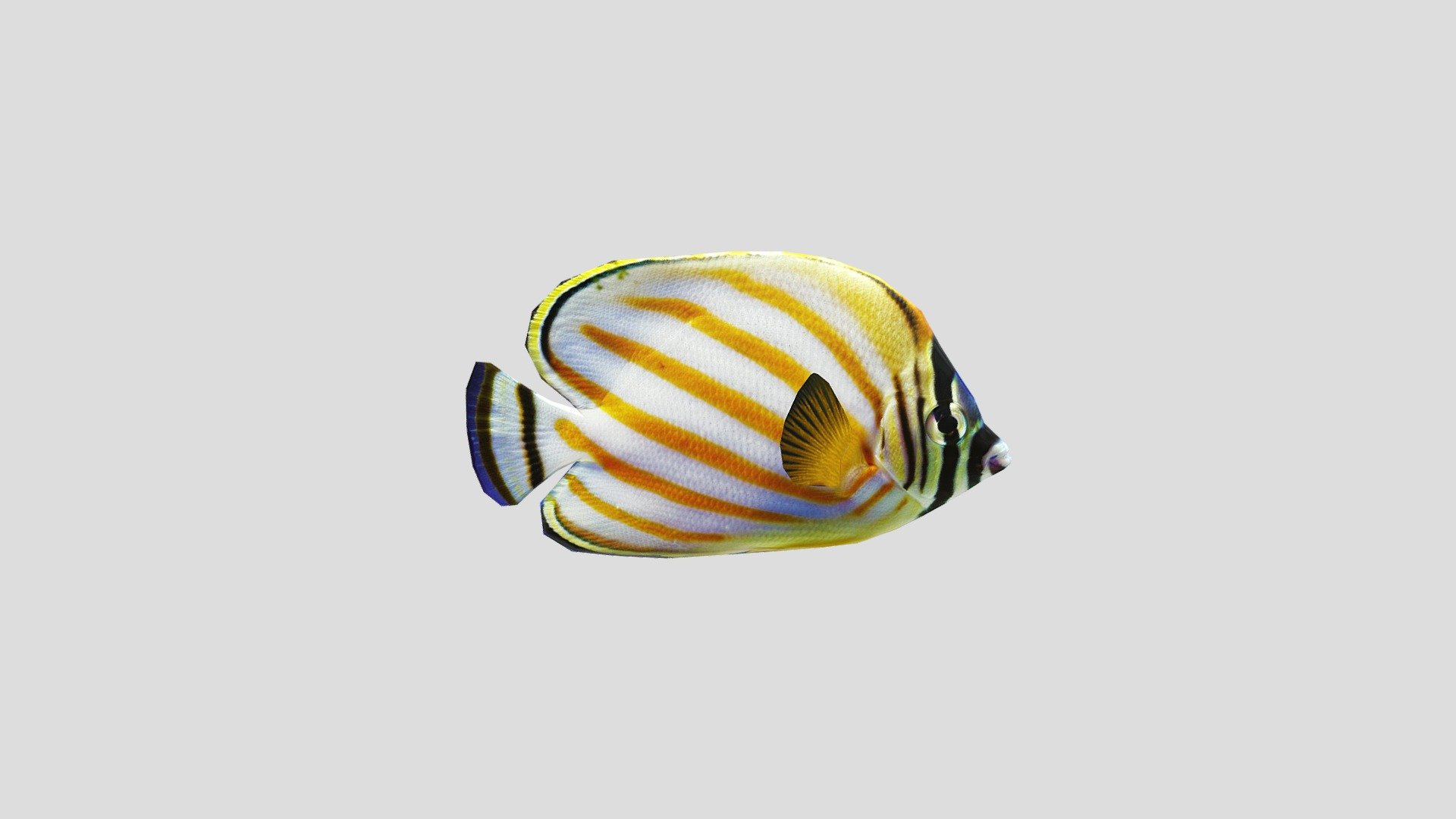 Clown_Butterfly - 3D model by sss (@dungvo1.2804) 3d model