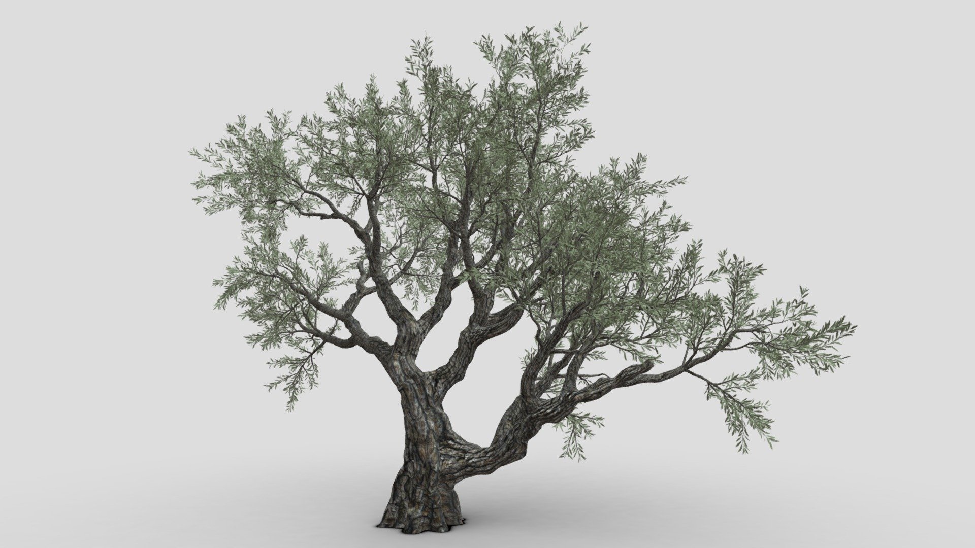 This is a part of model taht has realitstic and high quality texture. we try to publish different style in one mode dues to limitaion we have to publish in different part. we hope you use it 3d model