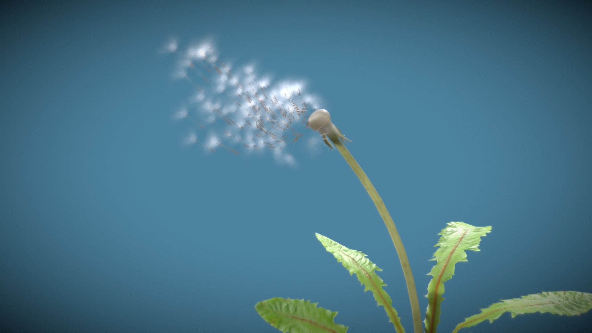 Animated dandelion in the wind


sketchfab.com/blogs/community/art-spotlight-dandelion-in-the-wind

Update 1 (18/06/2022): Merging of textures, to be easily to set up

Made with blender




If you have any questions, do not hesitate to contact me.

 
 

 - Dandelion in the Wind - Buy Royalty Free 3D model by Zacxophone 3d model