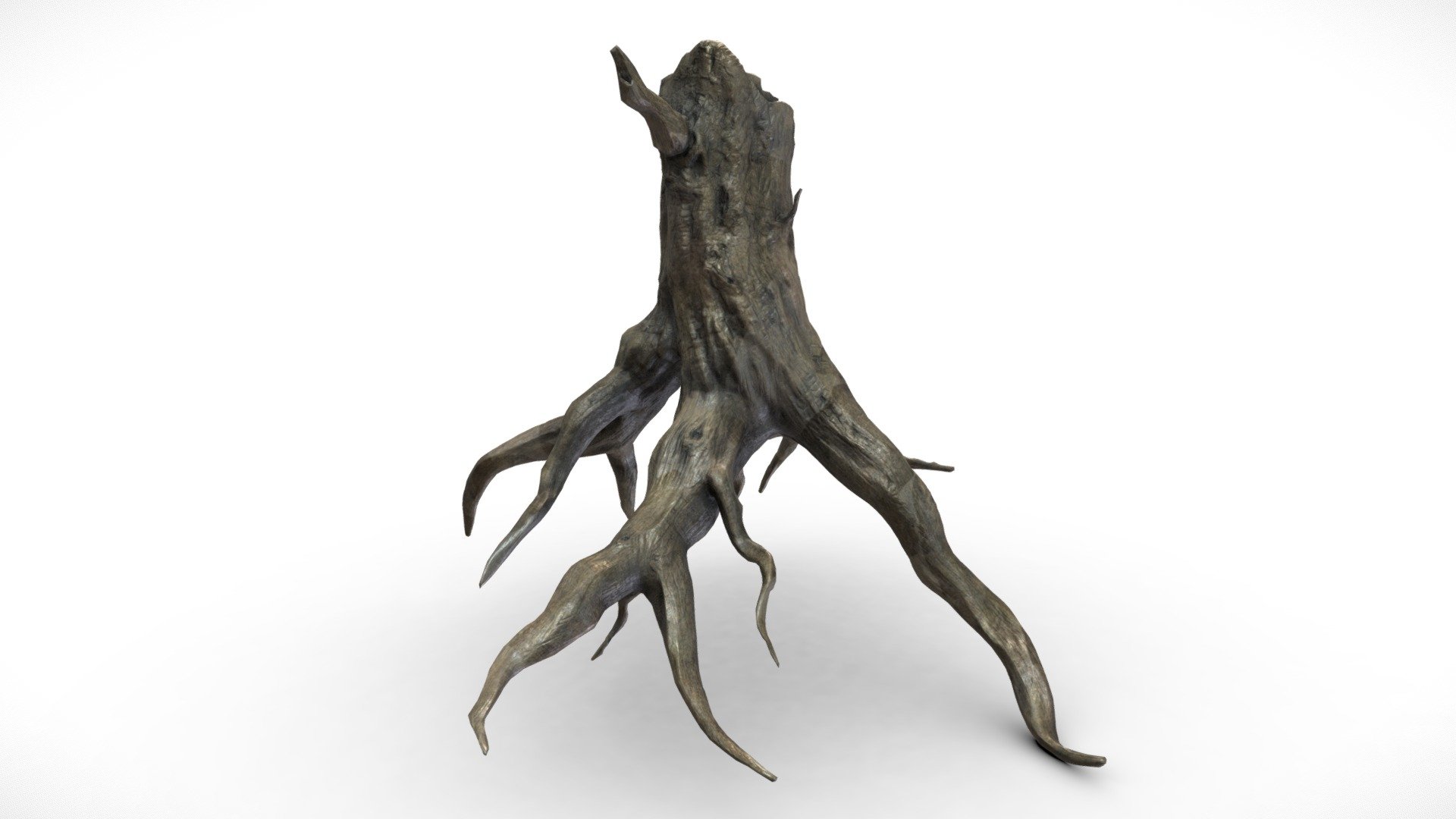 This Tree Mesh is made up of 1 UV Map, with 4096x4096 resolution.
Textures contained are:
- Diffuse
- Metallic
- Normal
- Roughness - Fantasy Forest Tree Stump C - Scary Dead Roots - Buy Royalty Free 3D model by Davis3D 3d model