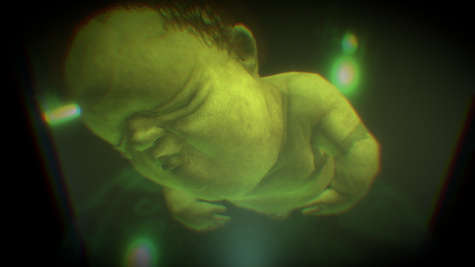 Pickled punks is the carny term for human babies preserved in jars of preservative such as formaldehyde, which are used as sideshow attractions. Most pickled punks display some sort of anatomical abnormality, such as conjoined twins or polycephaly; however, the deformities present are as varied as the nature of human afflictions.

can be used as prop in a science lab 3d model