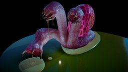 Snail Hydra snail, danger, scary, hydra, slime, carnivore, hungry, sketchfabweeklychallenge, substancepainter, substance, maya, creature, zbrush, monster, dark
