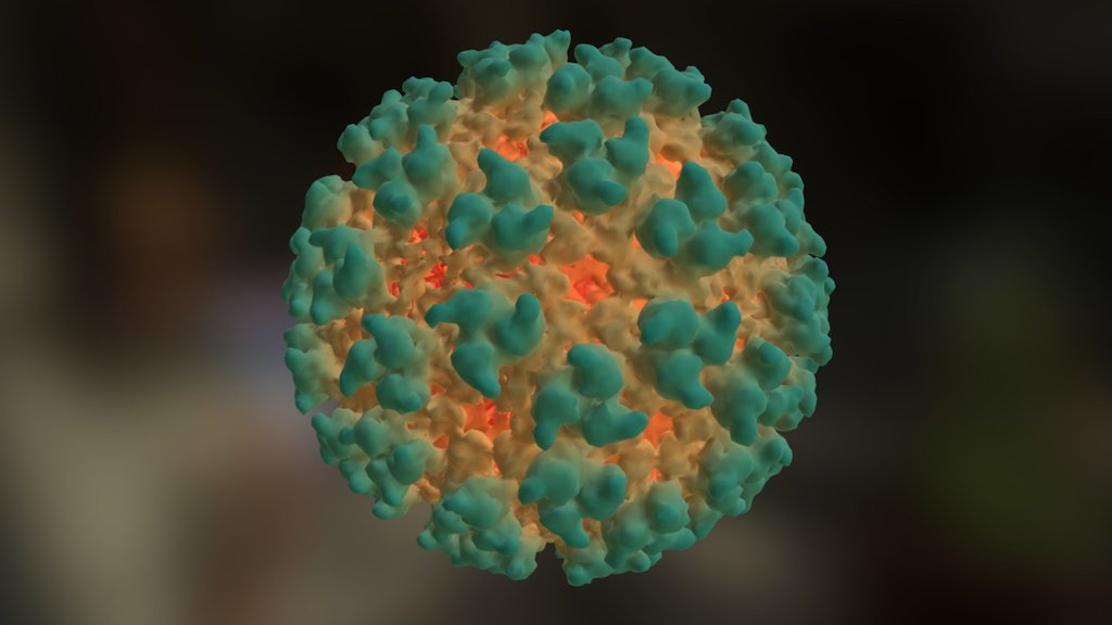 EMDB › EMD-3406

Single particle reconstruction 

9.85Å resolution

Eilat virus/Chikungunya virus chimeric vaccine candidate

Map released: 2017-02-01

Overview of EMD-3406

Source organism: Eilat virus/Chikungunya virus chimera [null]

Primary publication:

A chikungunya fever vaccine utilizing an insect-specific virus platform

Erasmus JH, Auguste AJ, Kaelber JT, Luo H, Rossi SL, Fenton K, Leal G, Kim DY, Chiu W, Wang T, Frolov I, Nasar F, Weaver SC

NAT.MED. (N.Y.) (2016) PMID: 27991917 - EMDB › EMD-3406 - 3D model by Interactive 3D Data (@proteinsimulation) 3d model