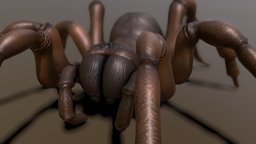 Trap Door Spider spider, bug, critter, arachnid, creature