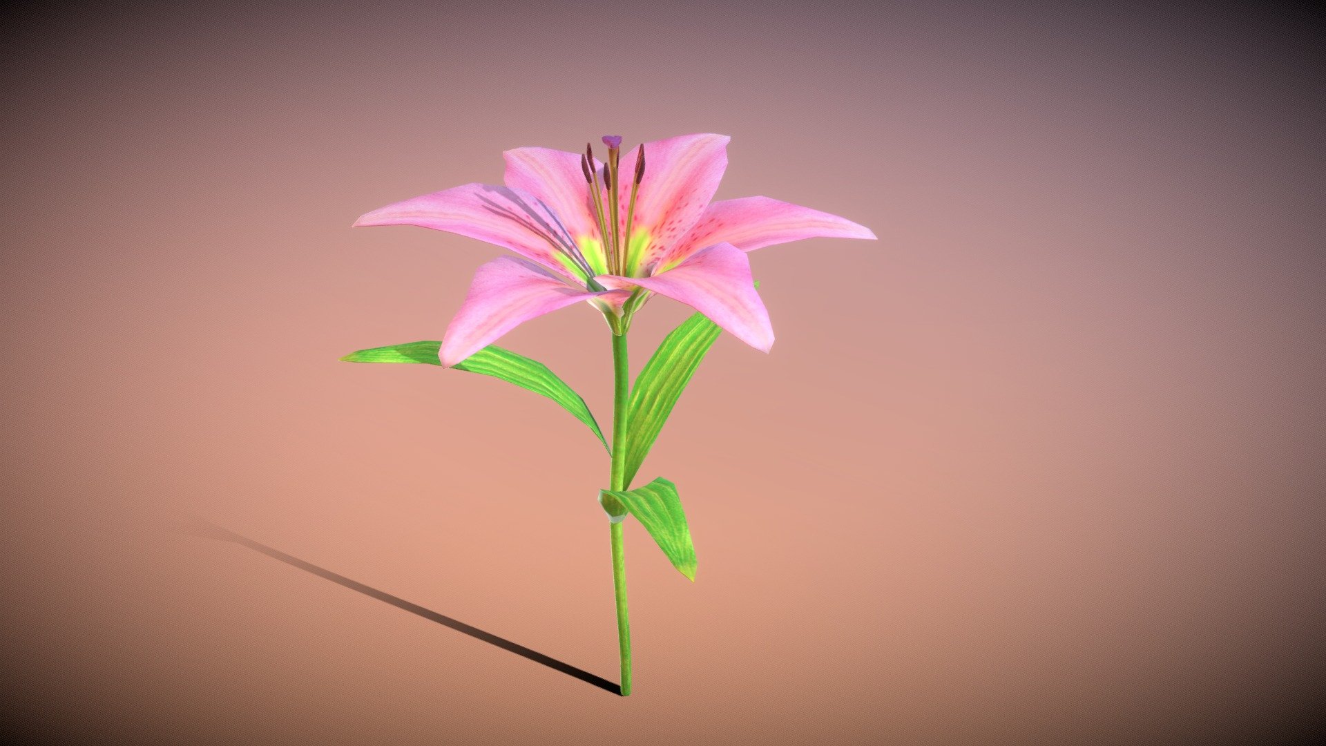 3d low-poly model
made in Blender 2.81
eevee render
solidify modify for leaf and color
particle system in Blender file - Lily flower - Buy Royalty Free 3D model by pinotoon 3d model