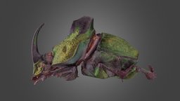 Pha Demon metashape, agisoft