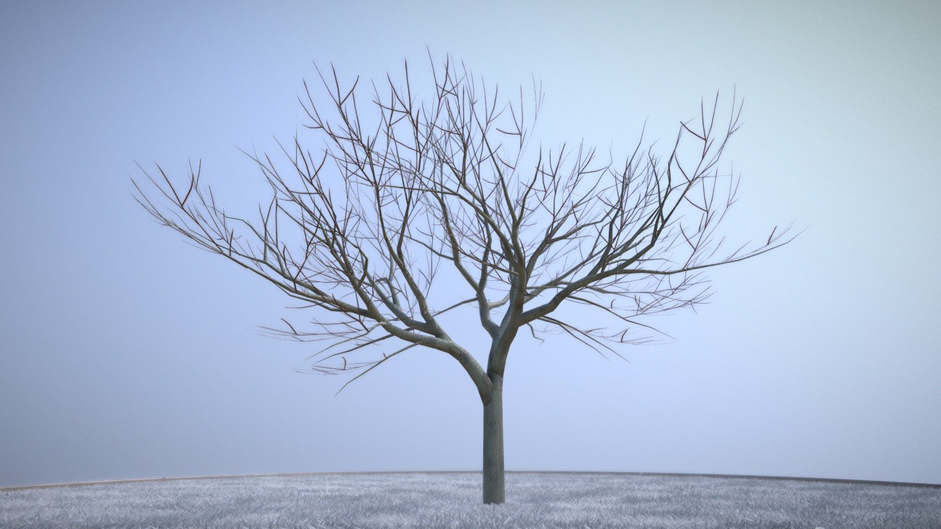 Plum Trees 8m Winter



Pflaumenbaum (8 Meter) Winter







Here on Sketchfab you can see and purchase some of our 3d-models which we are using in our projects for VIS-All.

The models were created by 3DHaupt for the Software-Service John GmbH
3D-Model was modelled and textured in blender



Hier auf Sketchfab können Sie einige unserer 3D-Modelle, welche wir in unseren Projekten für VIS-All verwenden,
betrachten oder aber auch für die kommerzielle Nutzung erwerben.

Die Modelle wurden von 3DHaupt 3DHaupt für die Software-Service John GmbH erstellt.
Alles modelliert und texturiert in Blender-3D 


 - Plum Tree 8m Winter - Buy Royalty Free 3D model by VIS-All-3D (@VIS-All) 3d model