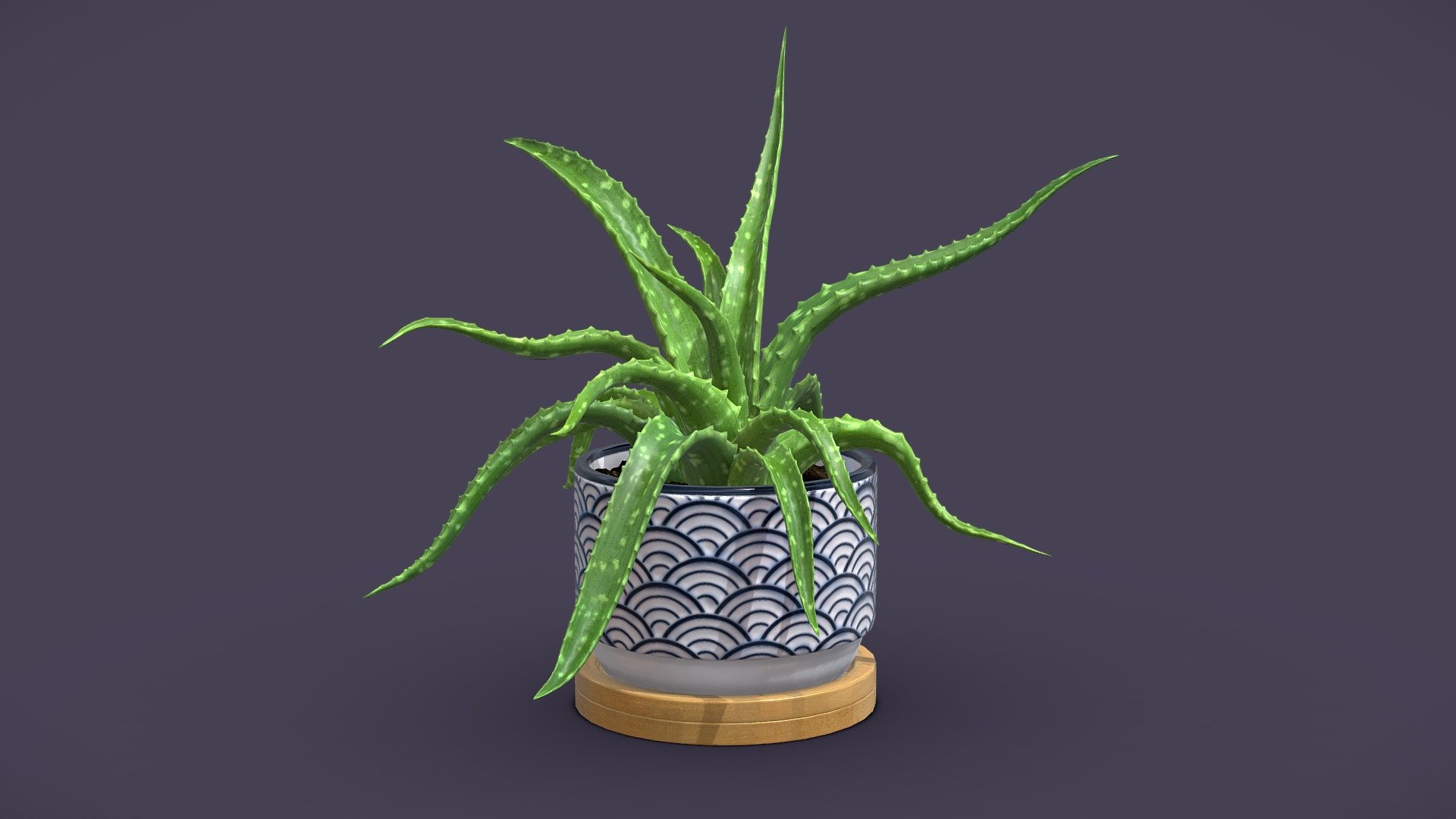 Aloe Vera Small Pot
Aloe vera is a distinctive succulent with thick, lance-shaped, and fleshy green leaves arranged in a rosette.  Whether used as a standalone piece or as part of a larger green ensemble, aloe vera adds both visual and functional value to indoor spaces.

4k Textures




Vertices  26 964

Polygons  26 720

Triangles 53 344
 - Aloe Vera Small Pot - Buy Royalty Free 3D model by AllQuad 3d model