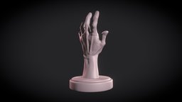 Hand Study