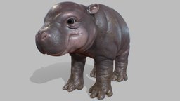 Baby Hippo body, anatomy, topology, baby, hippo, pet, animals, mammal, zoo, animales, zoology, criatura, charactermodel, hippopotamus, retopologized, hippos, muddy, mammals, animals-creatures, texturedmodel, animals-cute, character, cartoon, animal, animation, characterdesign